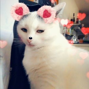 Meet your Posher, Diana